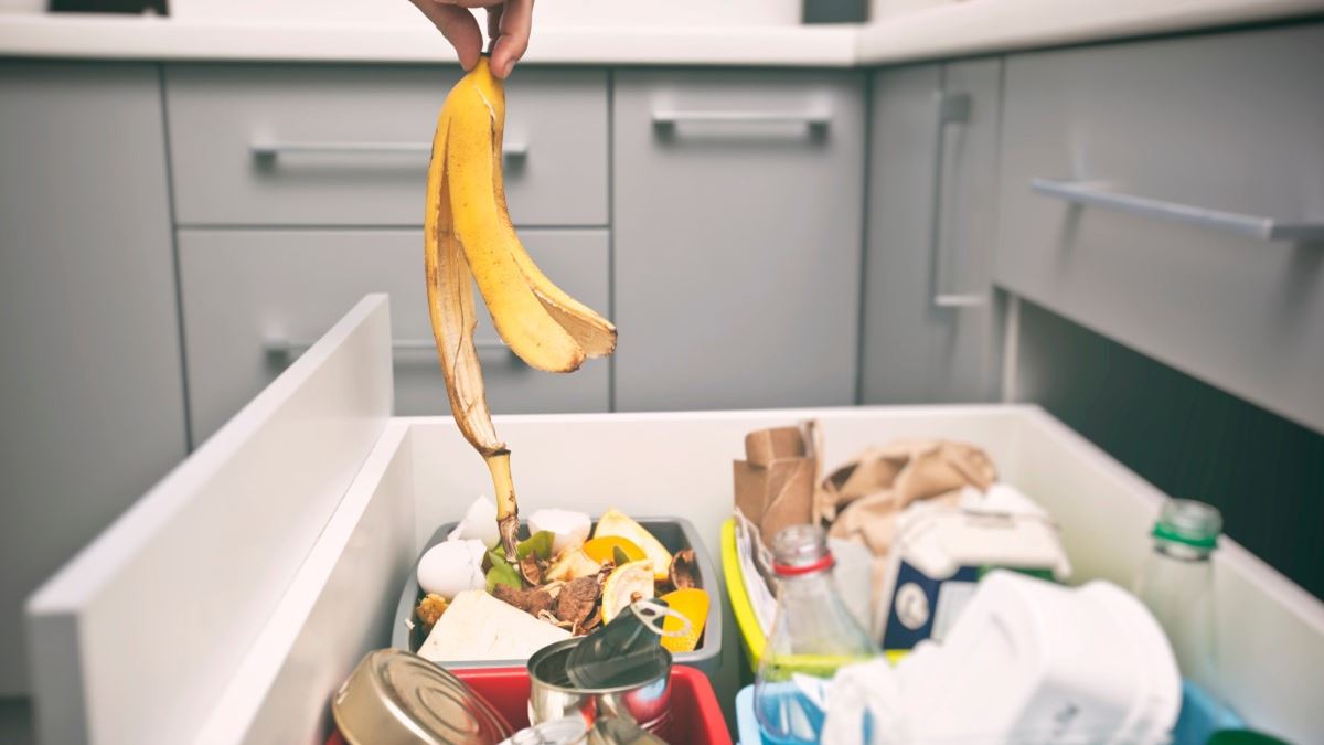 Person kaster bananskall i matavfallet