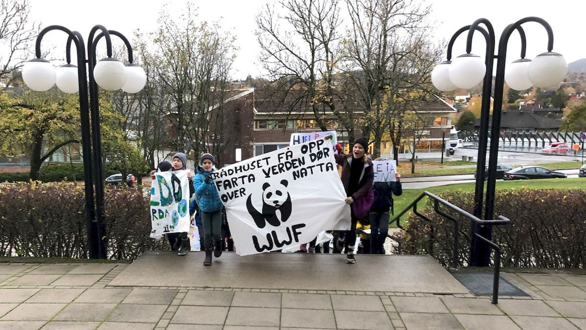 Elever fra Jansløkka skole på vei opp til rådhuset med plakater.