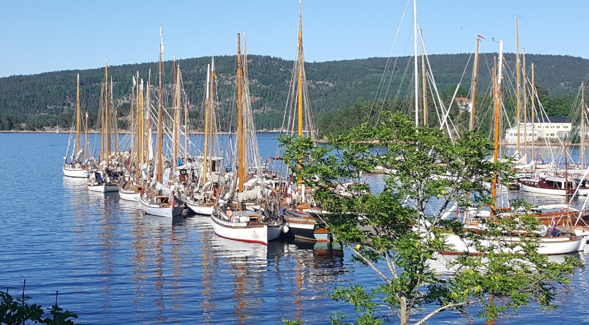 flere trebåter ligger til kai. fjord og blå himmel rundt