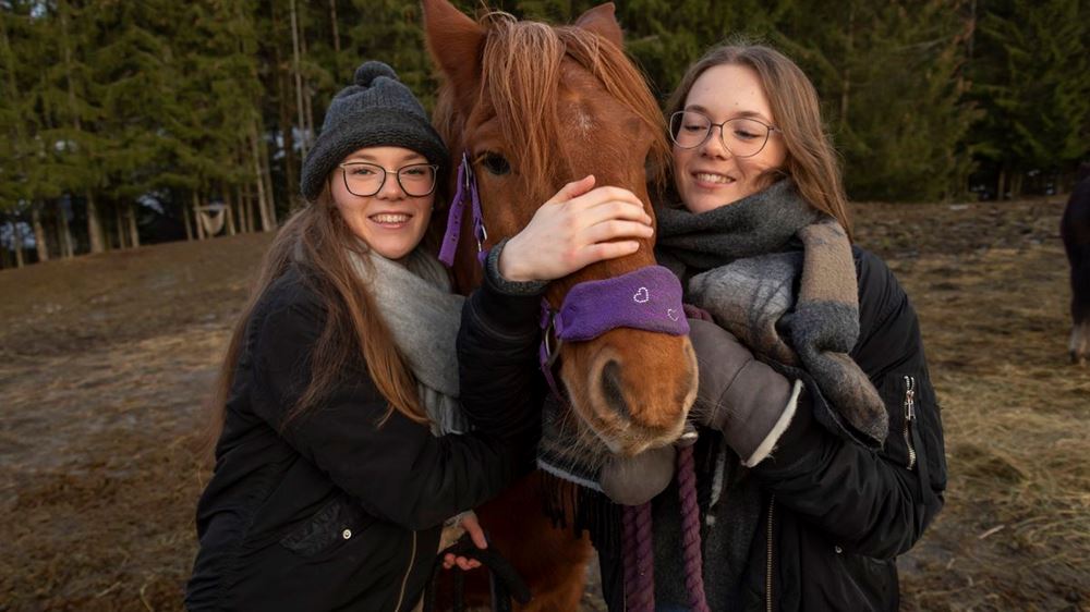 Jenter sammen med en hest