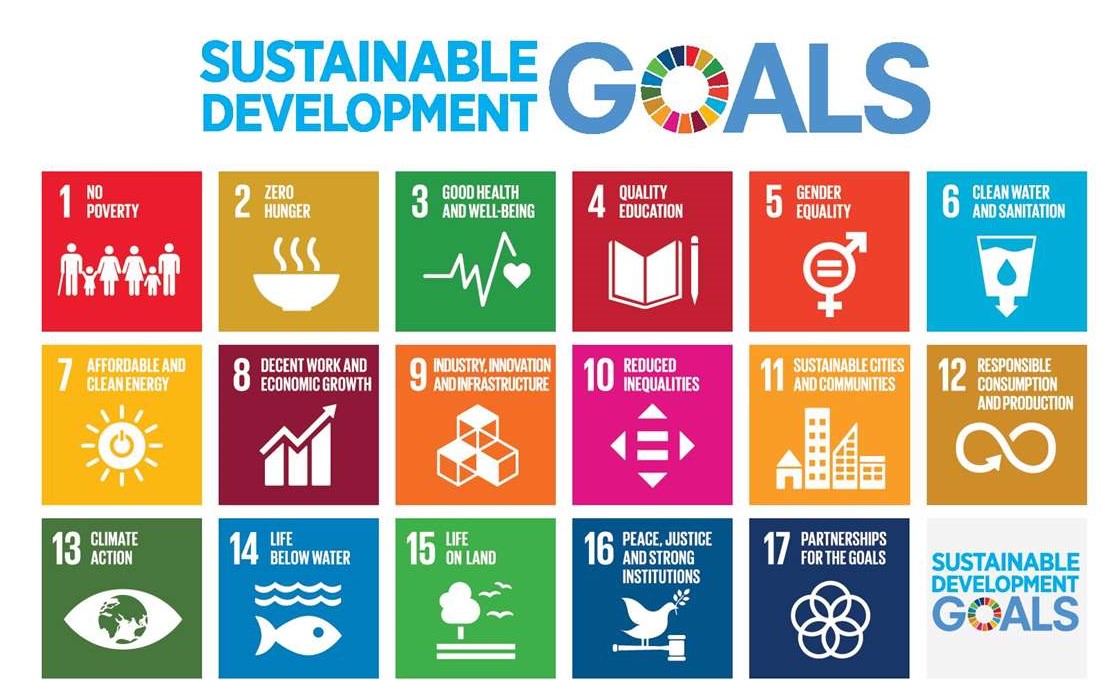 The SDG logo